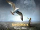 Aw Dj Mara – Thuma Mina