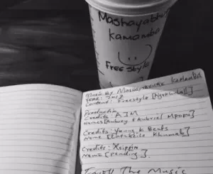 Mashayabhuqe KaMamba – 2017 Freestyle