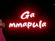 Shandesh – Ga Mmapula [Trumpet Remix] ft. Hitboss by Lexican